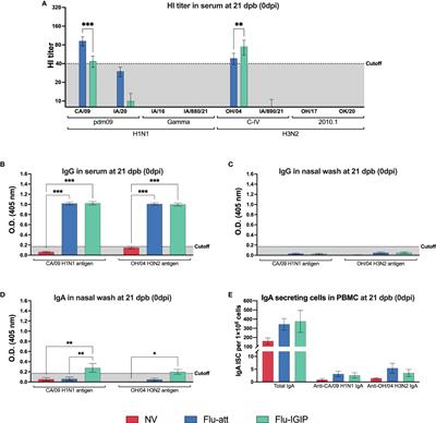 Live attenuated influenza A virus vaccine expressing an IgA-inducing protein protects pigs against replication and transmission